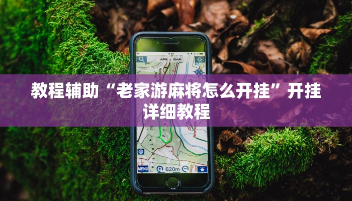 教程辅助“老家游麻将怎么开挂”开挂详细教程