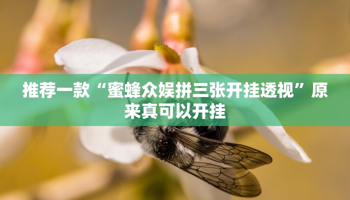 推荐一款“蜜蜂众娱拼三张开挂透视”原来真可以开挂
