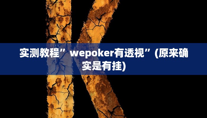 实测教程”wepoker有透视”(原来确实是有挂)