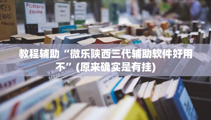 教程辅助“微乐陕西三代辅助软件好用不”(原来确实是有挂)