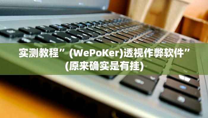 实测教程”(WePoKer)透视作弊软件”(原来确实是有挂)
