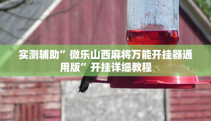 实测辅助”微乐山西麻将万能开挂器通用版”开挂详细教程