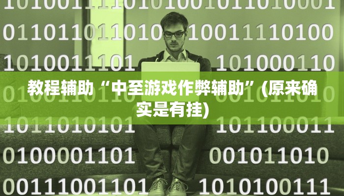 教程辅助“中至游戏作弊辅助”(原来确实是有挂)