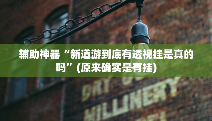 辅助神器“新道游到底有透视挂是真的吗”(原来确实是有挂)