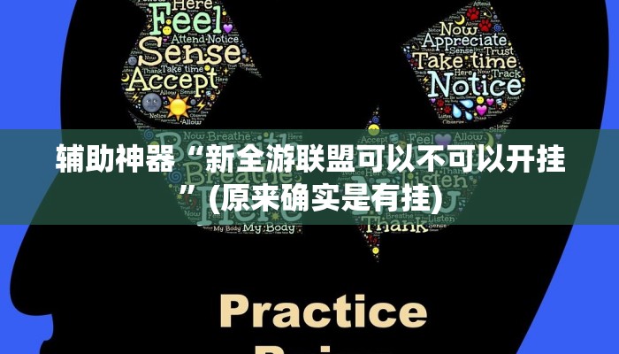 实测教程”HHpoker真的有透视吗”(原来确实是有挂)