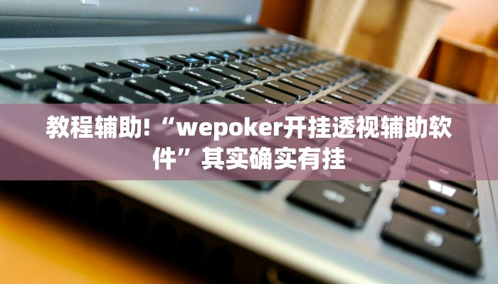 教程辅助!“wepoker开挂透视辅助软件”其实确实有挂