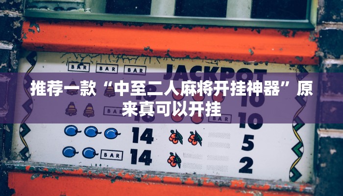 推荐一款“中至二人麻将开挂神器”原来真可以开挂