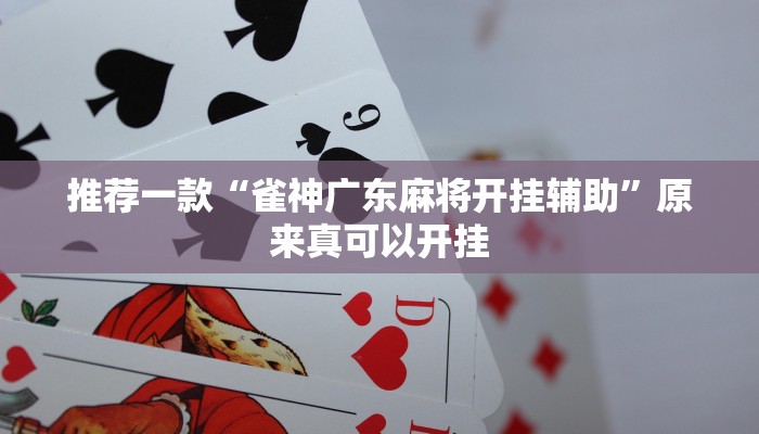 推荐一款“雀神广东麻将开挂辅助”原来真可以开挂