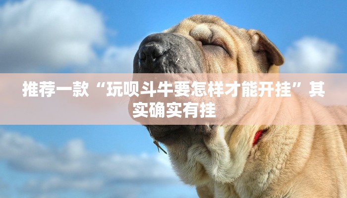 推荐一款“玩呗斗牛要怎样才能开挂”其实确实有挂