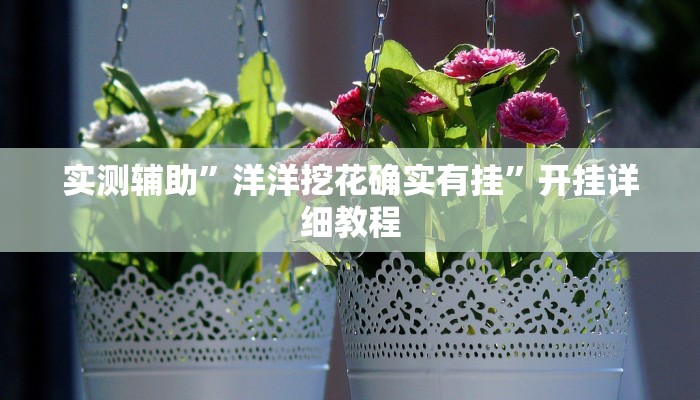 实测辅助”洋洋挖花确实有挂”开挂详细教程