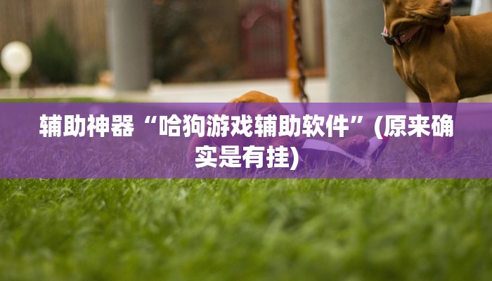 辅助神器“哈狗游戏辅助软件”(原来确实是有挂)