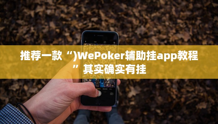 推荐一款“)WePoker辅助挂app教程”其实确实有挂