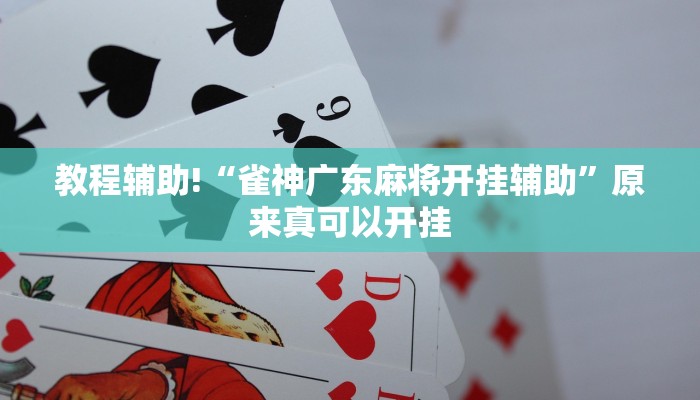 教程辅助!“雀神广东麻将开挂辅助”原来真可以开挂