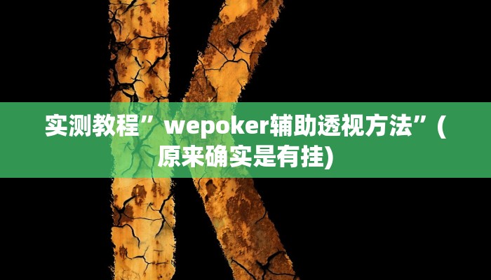 实测教程”wepoker辅助透视方法”(原来确实是有挂)