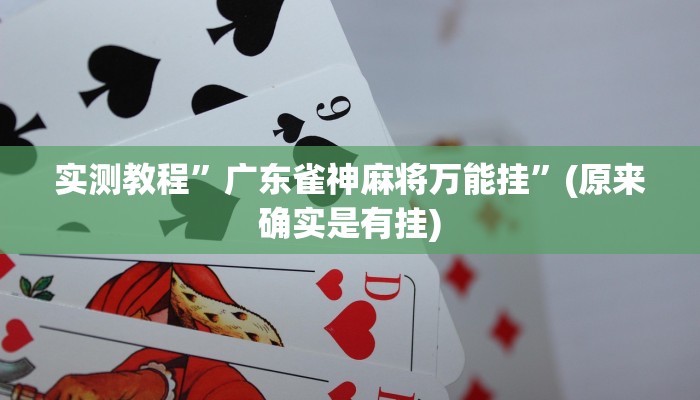 实测教程”广东雀神麻将万能挂”(原来确实是有挂)
