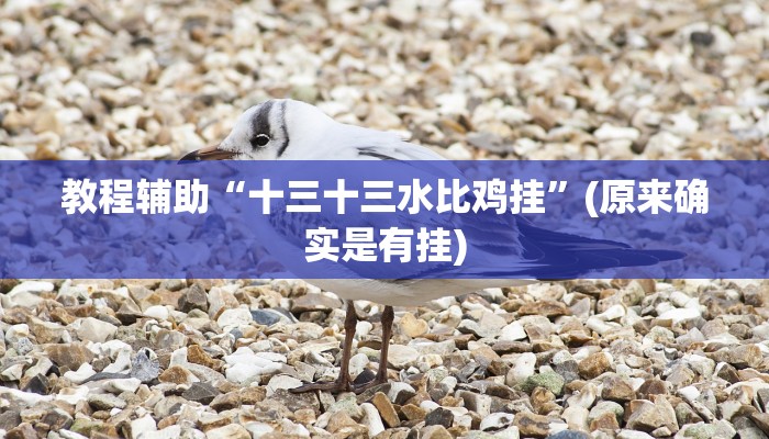 推荐一款“一喜棋牌外挂怎么作弊”原来真可以开挂
