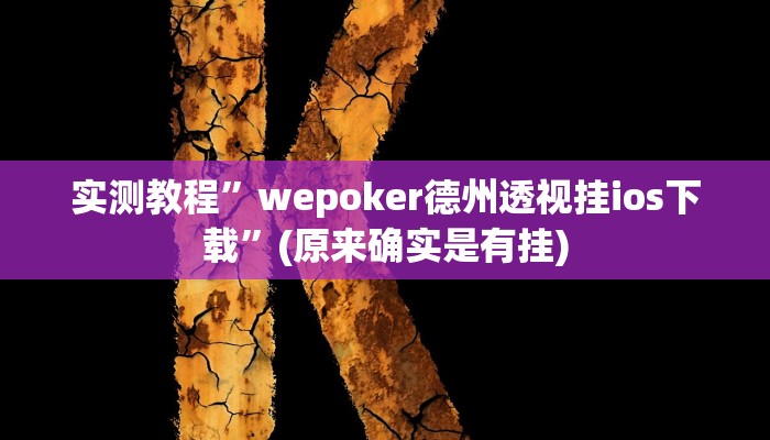 实测辅助”永州扯胡子有没有开挂器”(原来确实是有挂)