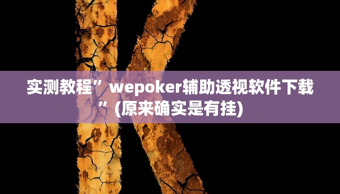 实测教程”wepoker辅助透视软件下载”(原来确实是有挂)