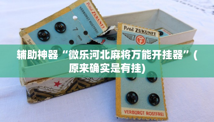 辅助神器“微乐河北麻将万能开挂器”(原来确实是有挂)