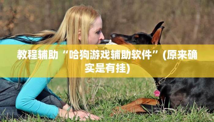 教程辅助“哈狗游戏辅助软件”(原来确实是有挂)