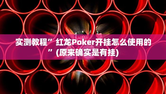 实测教程”红龙Poker开挂怎么使用的”(原来确实是有挂)
