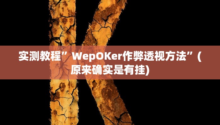 实测教程”WepOKer作弊透视方法”(原来确实是有挂)