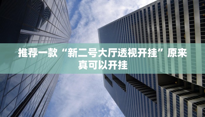 推荐一款“新二号大厅透视开挂”原来真可以开挂
