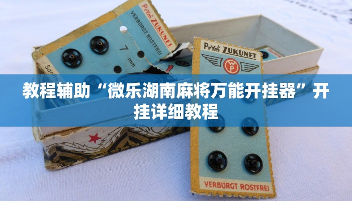教程辅助“微乐湖南麻将万能开挂器”开挂详细教程