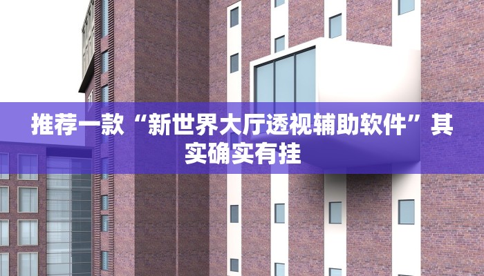 推荐一款“新世界大厅透视辅助软件”其实确实有挂