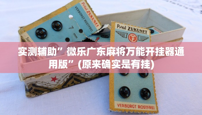 实测辅助”微乐广东麻将万能开挂器通用版”(原来确实是有挂)