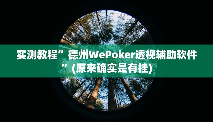 实测教程”德州WePoker透视辅助软件”(原来确实是有挂)