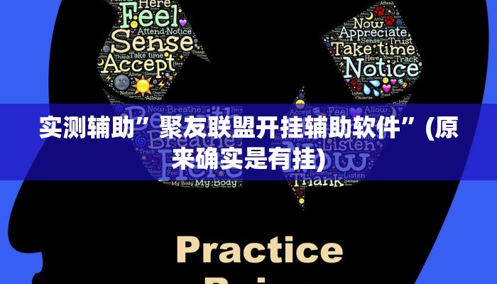 实测辅助”聚友联盟开挂辅助软件”(原来确实是有挂)