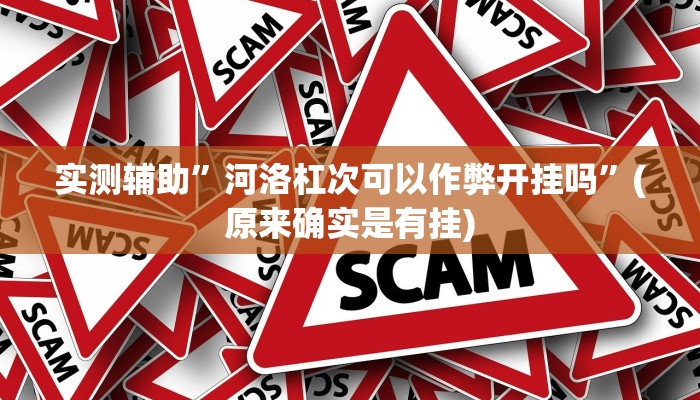 教程辅助“欢乐碰胡辅助”(原来确实是有挂)