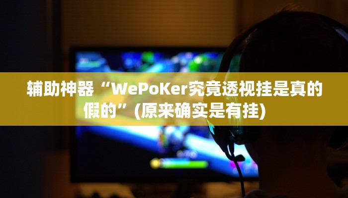 辅助神器“WePoKer究竟透视挂是真的假的”(原来确实是有挂)