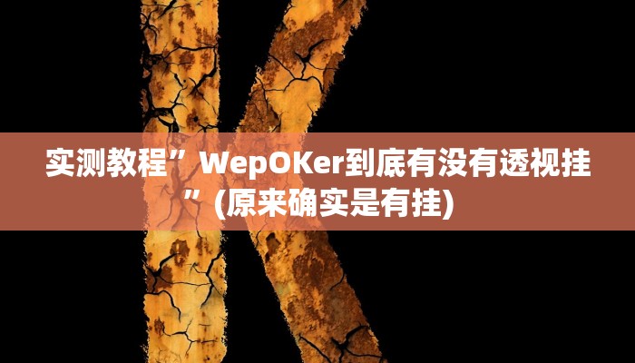 实测教程”WepOKer到底有没有透视挂”(原来确实是有挂)