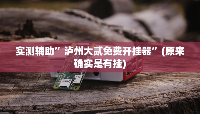 实测辅助”泸州大贰免费开挂器”(原来确实是有挂)