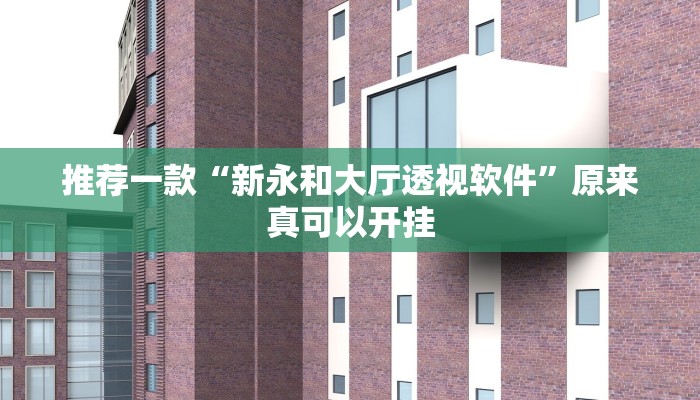 推荐一款“新永和大厅透视软件”原来真可以开挂