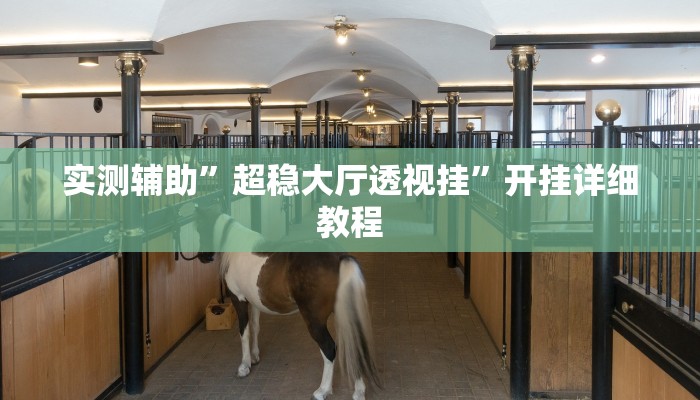 实测教程”wpk透视挂是真的吗”(原来确实是有挂)