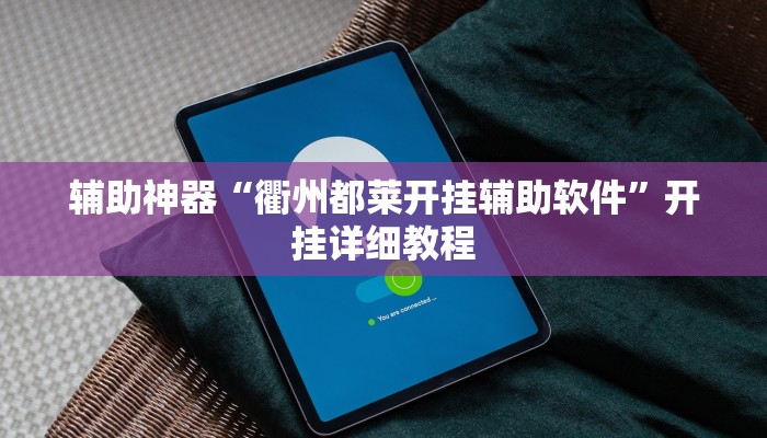 辅助神器“衢州都莱开挂辅助软件”开挂详细教程