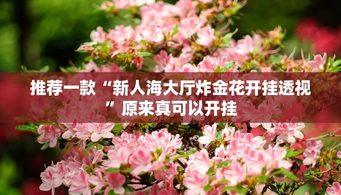 推荐一款“新人海大厅炸金花开挂透视”原来真可以开挂