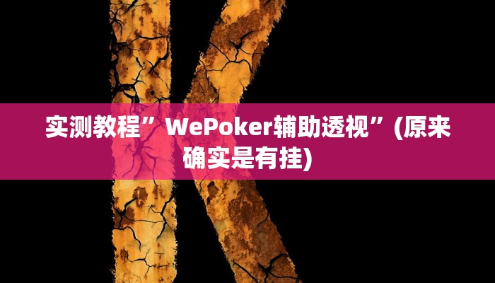实测教程”WePoker辅助透视”(原来确实是有挂)