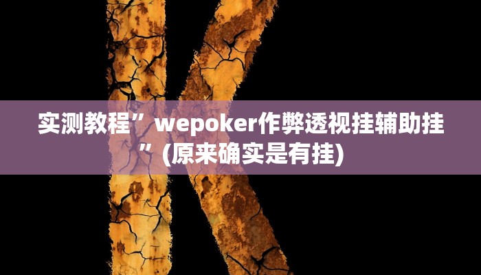 实测教程”wepoker作弊透视挂辅助挂”(原来确实是有挂)