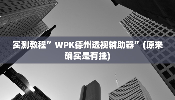 实测教程”WPK德州透视辅助器”(原来确实是有挂)