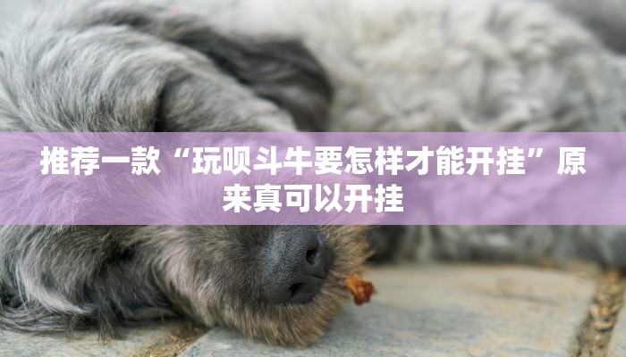 推荐一款“玩呗斗牛要怎样才能开挂”原来真可以开挂