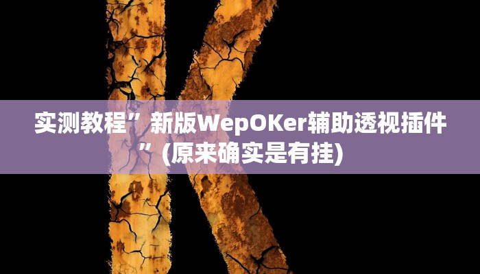 实测教程”新版WepOKer辅助透视插件”(原来确实是有挂)