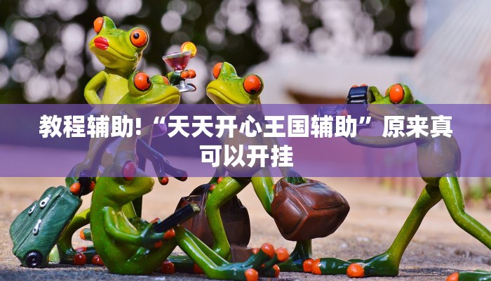 教程辅助!“天天开心王国辅助”原来真可以开挂