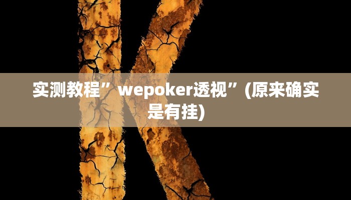 实测教程”WePoker德州局透视挂作弊方法”(原来确实是有挂)