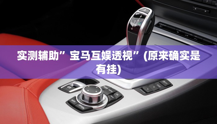 辅助神器“白金岛字牌集到底有没有挂”开挂详细教程