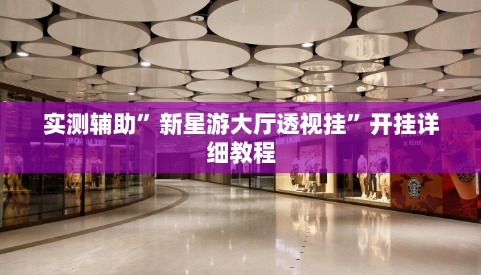 实测辅助”新星游大厅透视挂”开挂详细教程