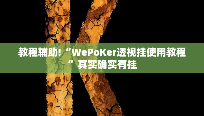 教程辅助!“WePoKer透视挂使用教程”其实确实有挂